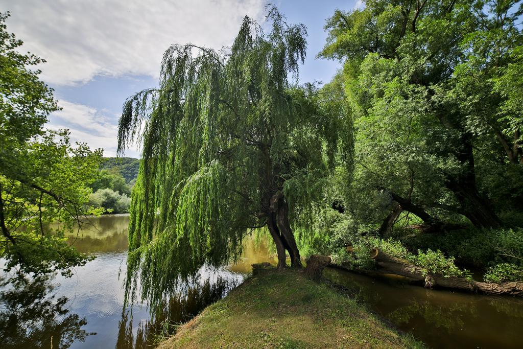 Romantic Hotel Mlyn Karlstejn ภายนอก รูปภาพ